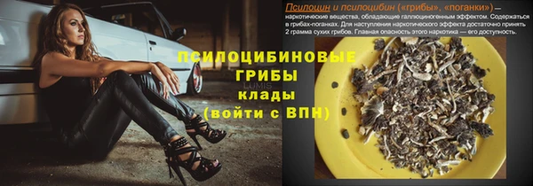 винт Богородицк